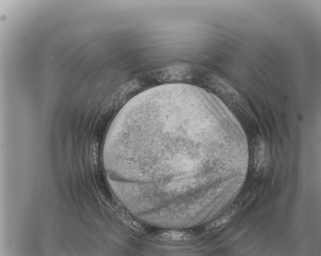 X0000061110326200512091824