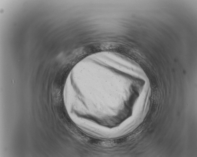 X0000061110327200512091824