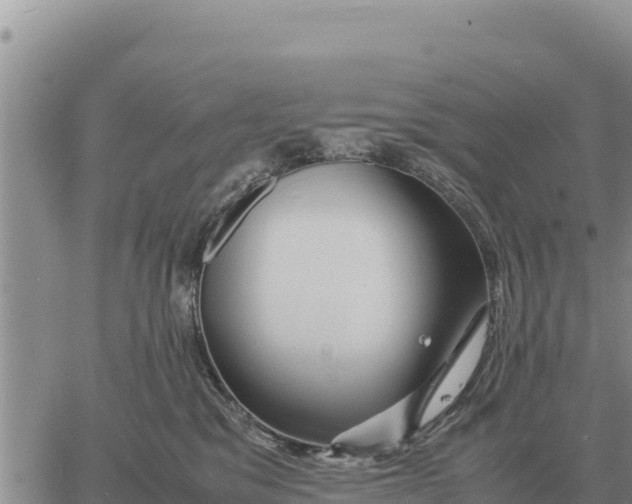 X0000061110329200512091823