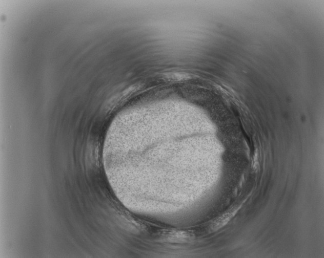 X0000061110330200512091823