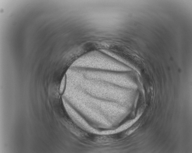 X0000061110331200512091823