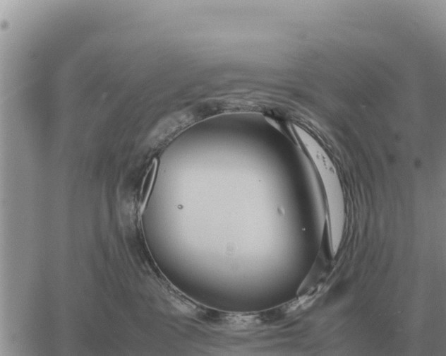 X0000061110333200512091823