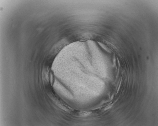 X0000061110334200512091823