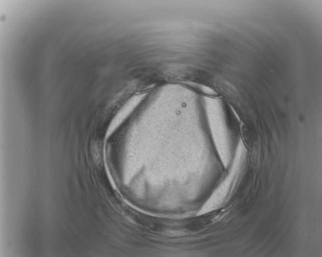 X0000061110335200512091823