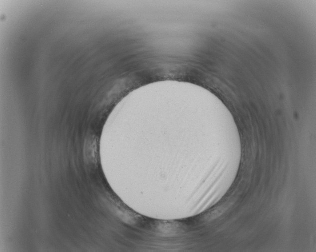 X0000061110336200512091823