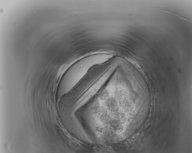 X0000061110337200512091823