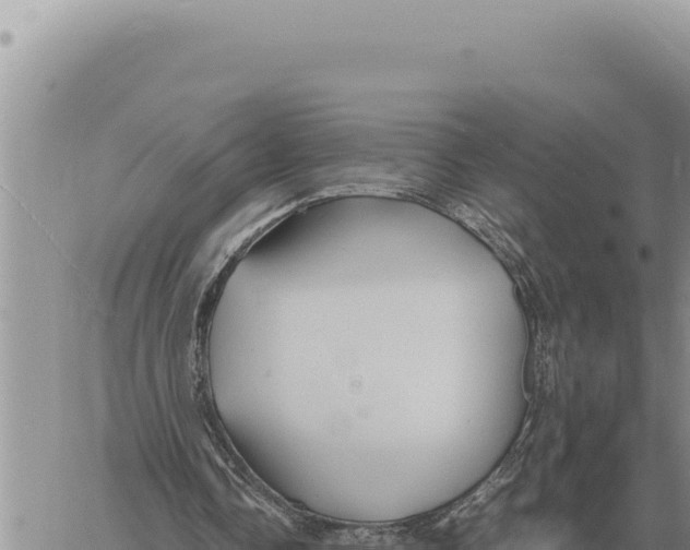 X0000061110338200512091823