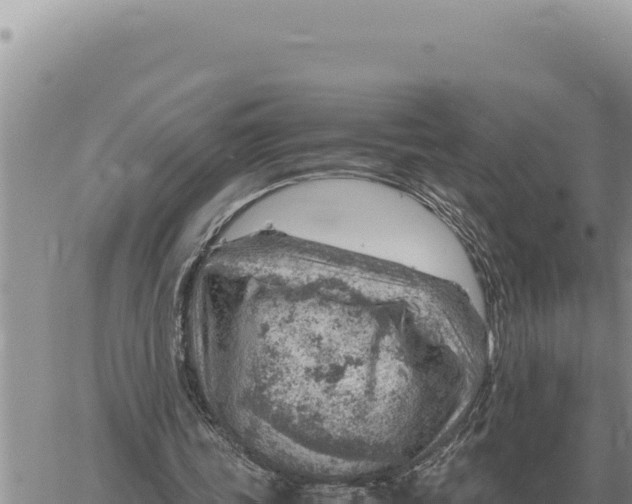 X0000061110339200512091823