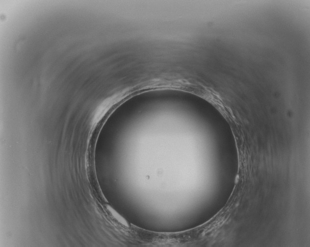 X0000061110340200512091823