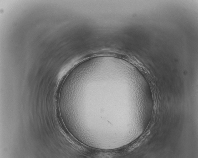 X0000061110341200512091823