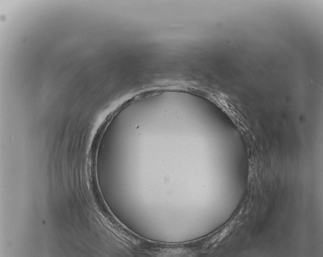 X0000061110342200512091823