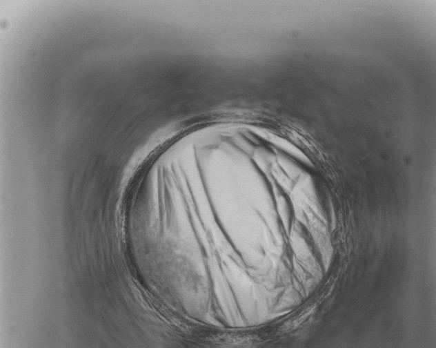 X0000061110343200512091823