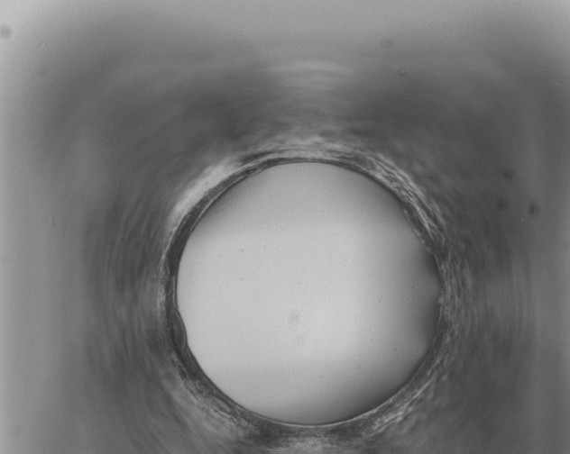 X0000061110344200512091823