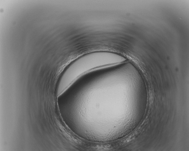 X0000061110345200512091823