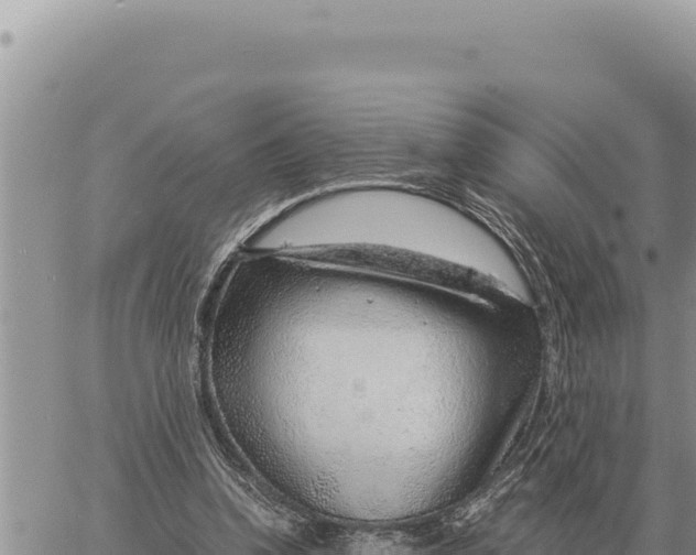 X0000061110346200512091823