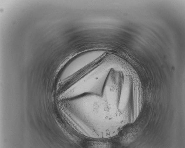 X0000061110347200512091823