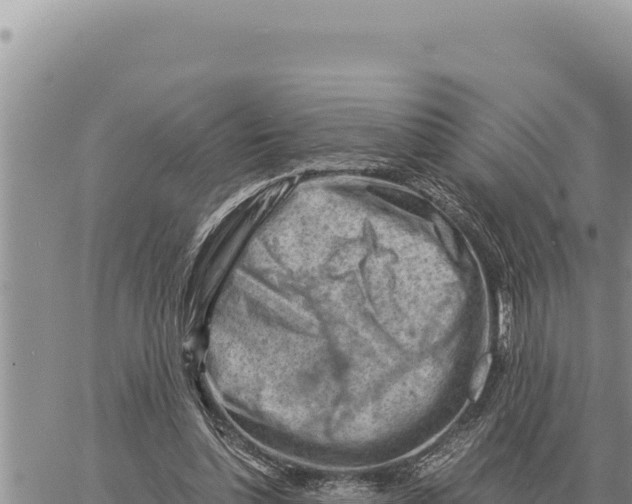 X0000061110348200512091823