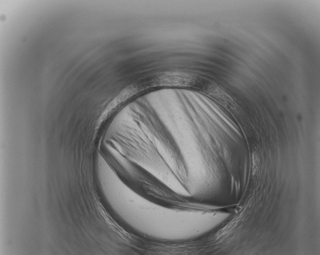 X0000061110349200512091823