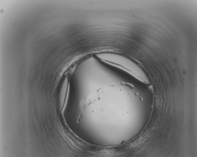 X0000061110350200512091823