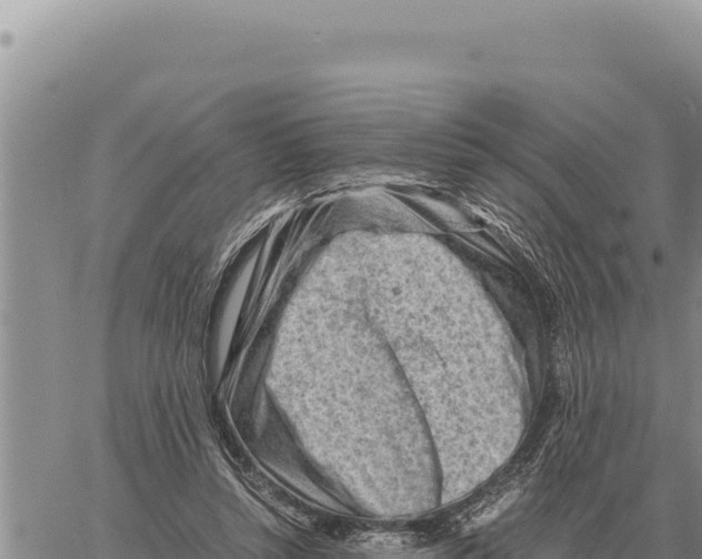 X0000061110352200512091823