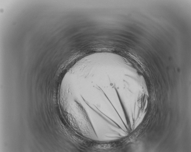 X0000061110353200512091823