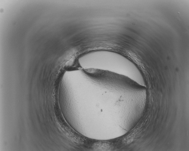 X0000061110354200512091823