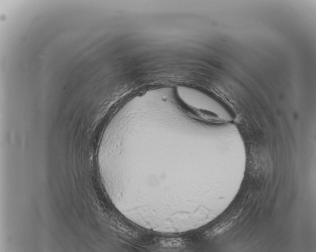 X0000061110355200512091823