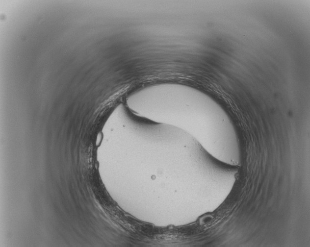 X0000061110356200512091823