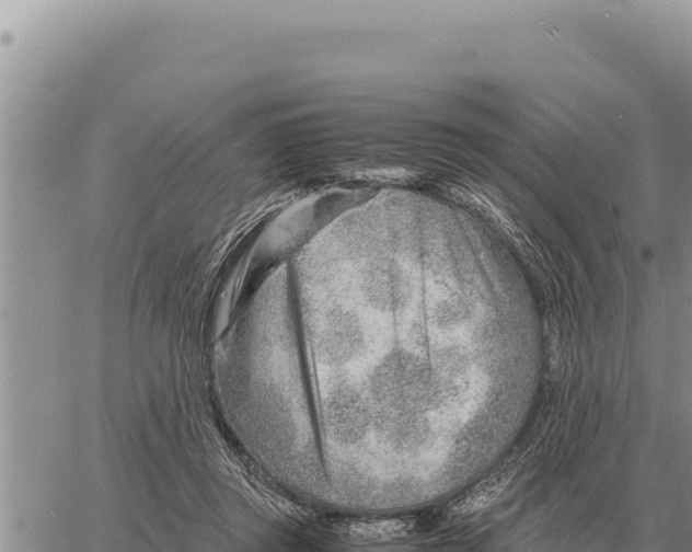 X0000061110357200512091823