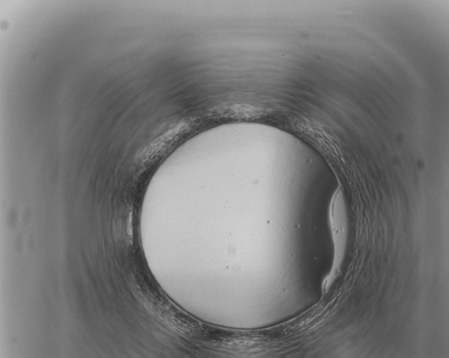 X0000061110358200512091823