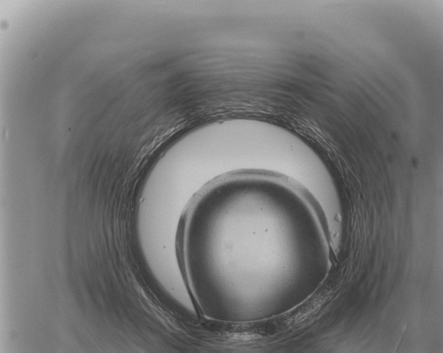 X0000061110360200512091823