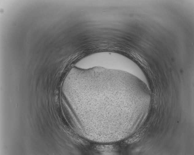 X0000061110361200512091823