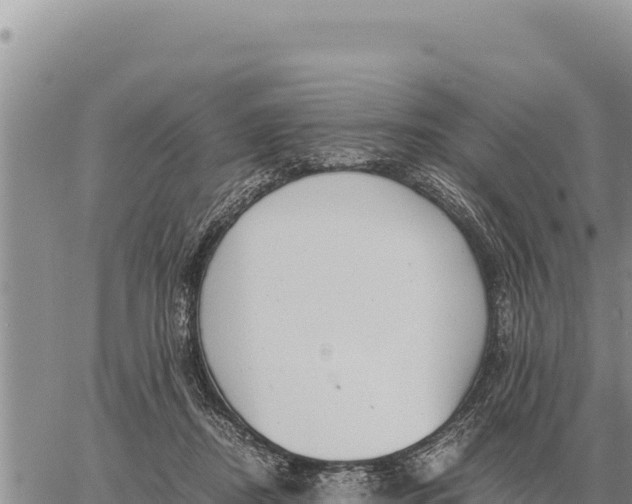 X0000061110362200512091823