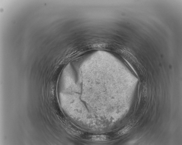 X0000061110363200512091823