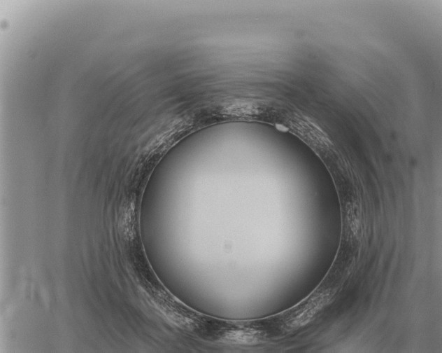 X0000061110364200512091823