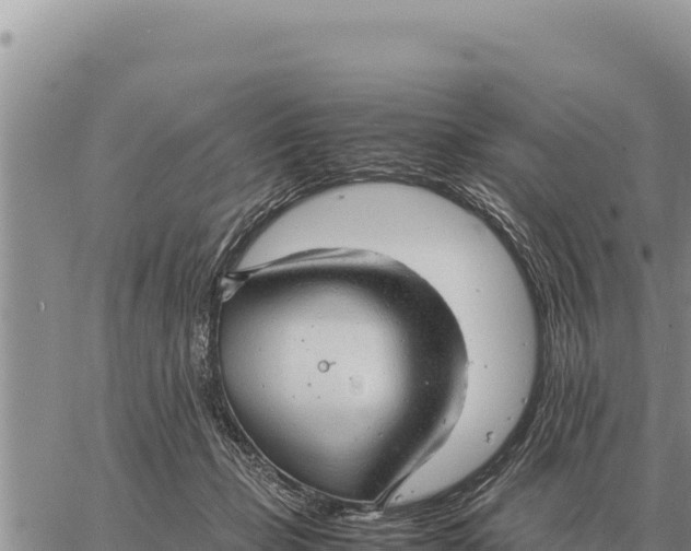 X0000061110365200512091823