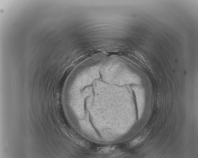 X0000061110366200512091823