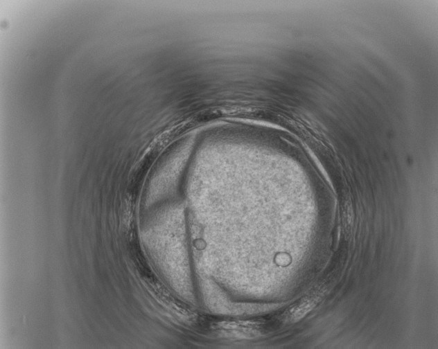 X0000061110367200512091823