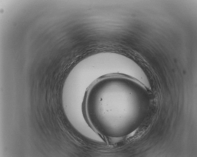 X0000061110368200512091823