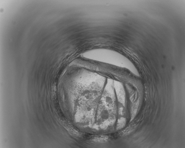 X0000061110369200512091823