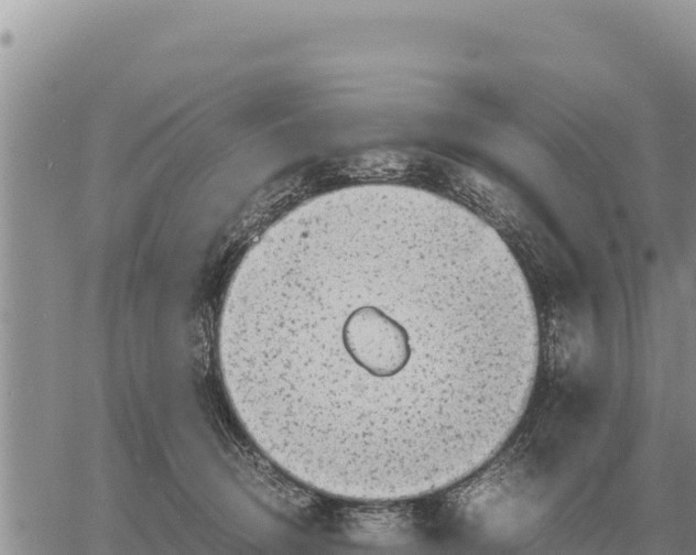 X0000061110370200512091823