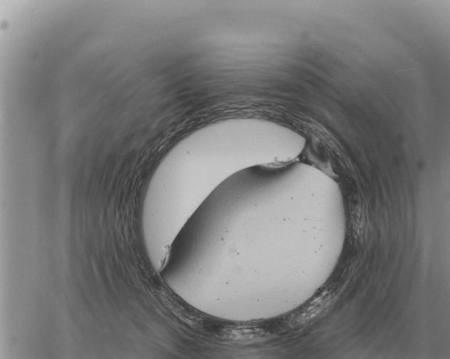 X0000061110372200512091823