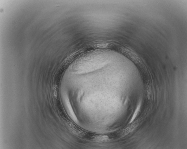 X0000061110374200512091823