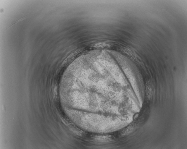 X0000061110375200512091823