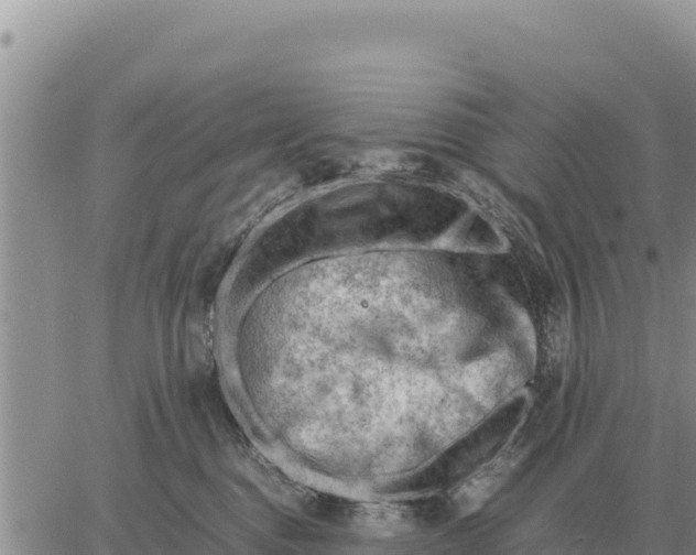 X0000061110376200512091823