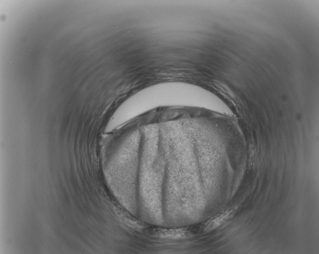 X0000061110377200512091823