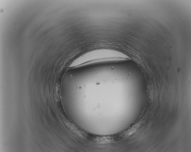 X0000061110378200512091823