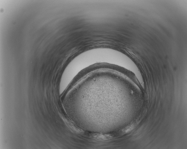 X0000061110379200512091823