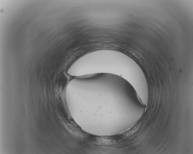 X0000061110380200512091823