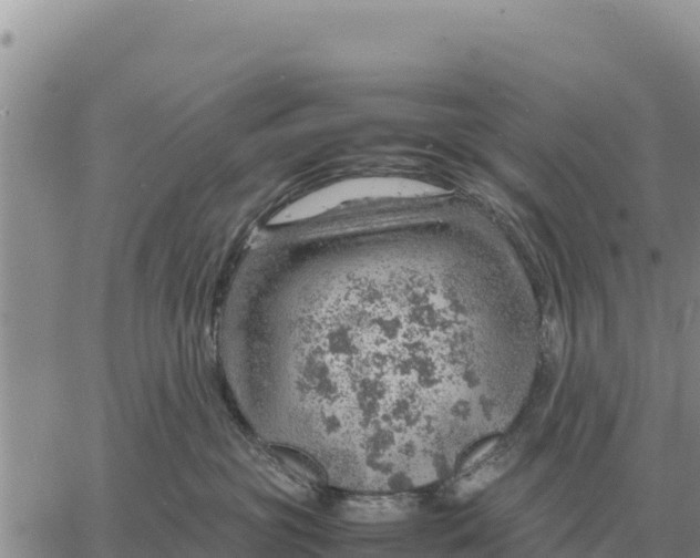 X0000061110381200512091823